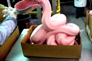 the pink slime that went viral. Ammoniated beef that looks like pink soft serve and is used to make meat products at macdonalds