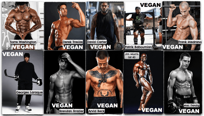 Vegan athletes showing what is possible on a vegan diet.