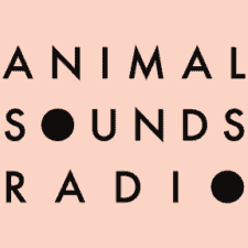 Bite Size Vegan on Animal Sounds Radio Podcast