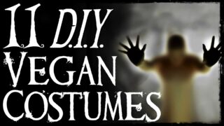 A shadowy figure is shown on the right, facing the camera, arms up. It is out of focus, aside from the hands which are splayed as if up against a window. On the left, in large letters, are the words 11 D.I.Y. Vegan costumes”