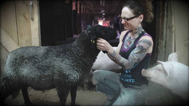 Emily Moran Barwick of Bite Size Vegan is shown kneeling in front of a black sheep. She is holding its head in her hands and looking into its eyes. She has a wide smile upon her face whilst she pets it. To Emily’s left is a small pig that looks to be wanting in on the attention.