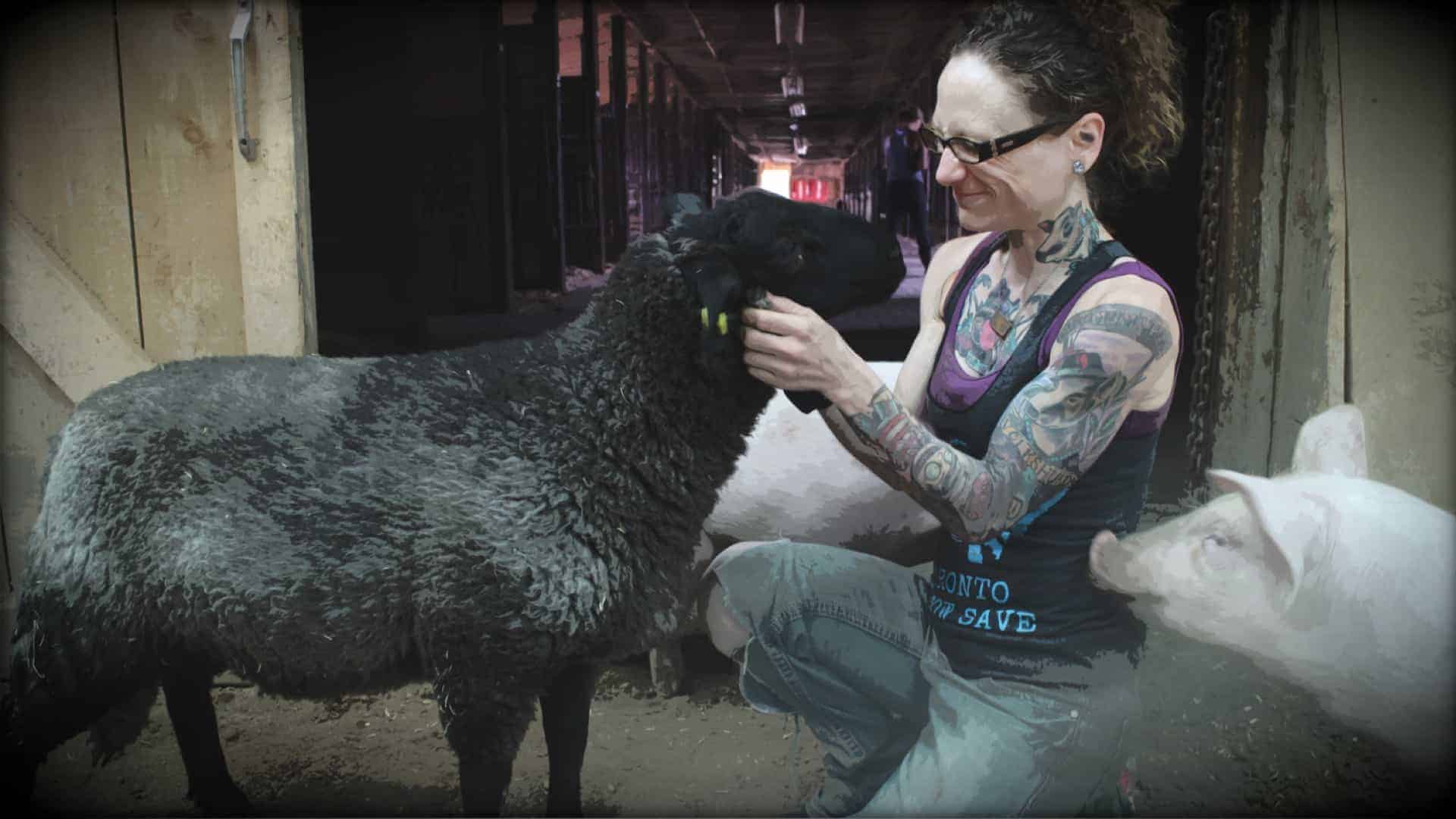 Emily Moran Barwick of Bite Size Vegan is shown kneeling in front of a black sheep. She is holding its head in her hands and looking into its eyes. She has a wide smile upon her face whilst she pets it. To Emily’s left is a small pig that looks to be wanting in on the attention.