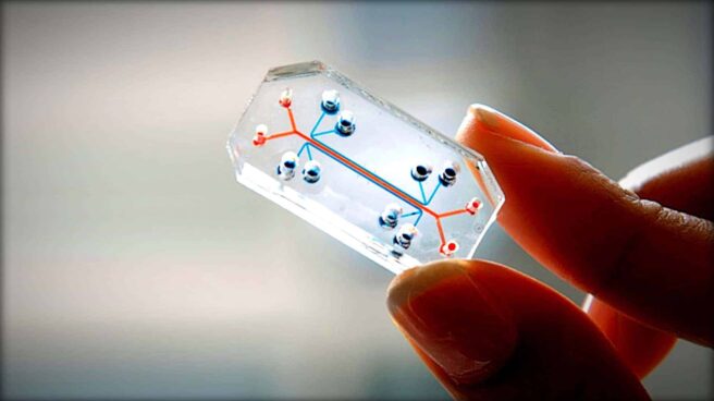 The image shows a close-up of Harvard University chip for growing organs for use in medical tests.