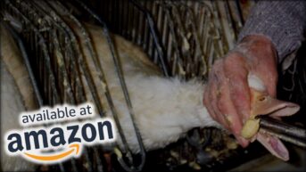 Amazon.com Foie Gras: Expectation Vs Reality