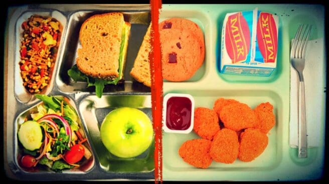 Two partial images are shown, separated by a vertical red line. The left-hand image shows a selection of vegan food upon a metal food tray. There is an apple, a sandwich, a colorful salad and a selection of dried fruits and nuts. In the second image, a second food tray is shown. It contains a carton of milk, seven chicken nuggets with dipping sauce, a cookie and a fork.