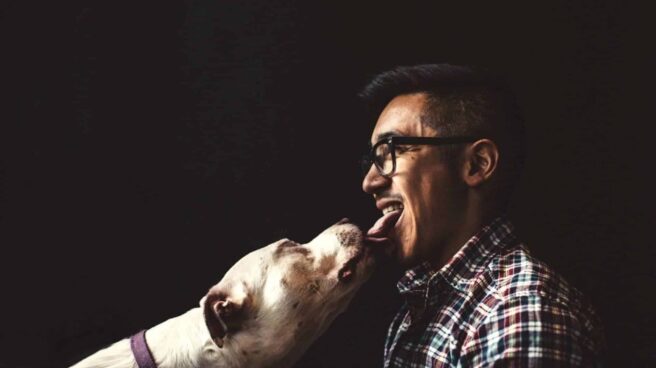 The image shows a close up where a dog is licking the tongue of a person.