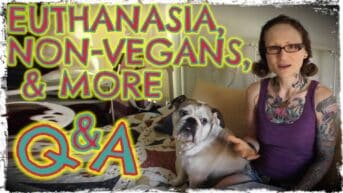 Emily Moran Barwick of Bite Size Vegan is shown sat on a bed with her beloved bulldog, Ooby, next to her. She islooking at the camera. To the left in large letters are the words: “Euthanasia, non-vegans and more. Q and A”.
