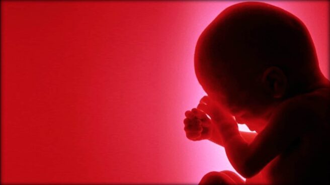 A close up image of a child, as if in the womb is shown on a pink background.