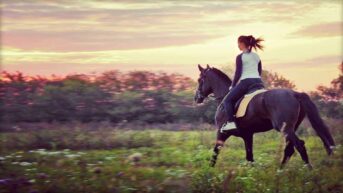 Is Horse Riding Cruel? Is It Vegan?