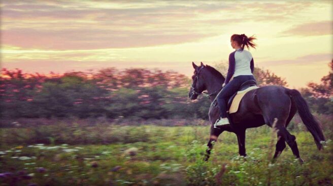 A woman riding a horse through a field at dusk; the horse is saddled, bridled, and bitted, with the reigns held by the woman.