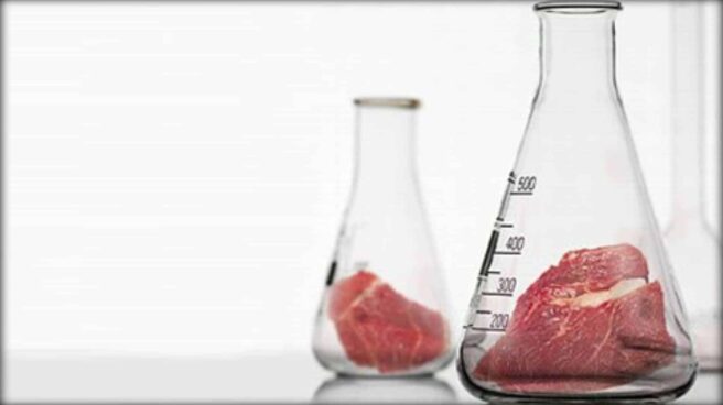 Two conical glass flasks are shown upon a lab bench top. In each is a large piece of raw red meat.