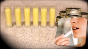 The image shows a close-up of six lip balm containers on a counter with a DIY vegan lip balm inside. Inset on the right is a close-up image of a person applying lip balm.