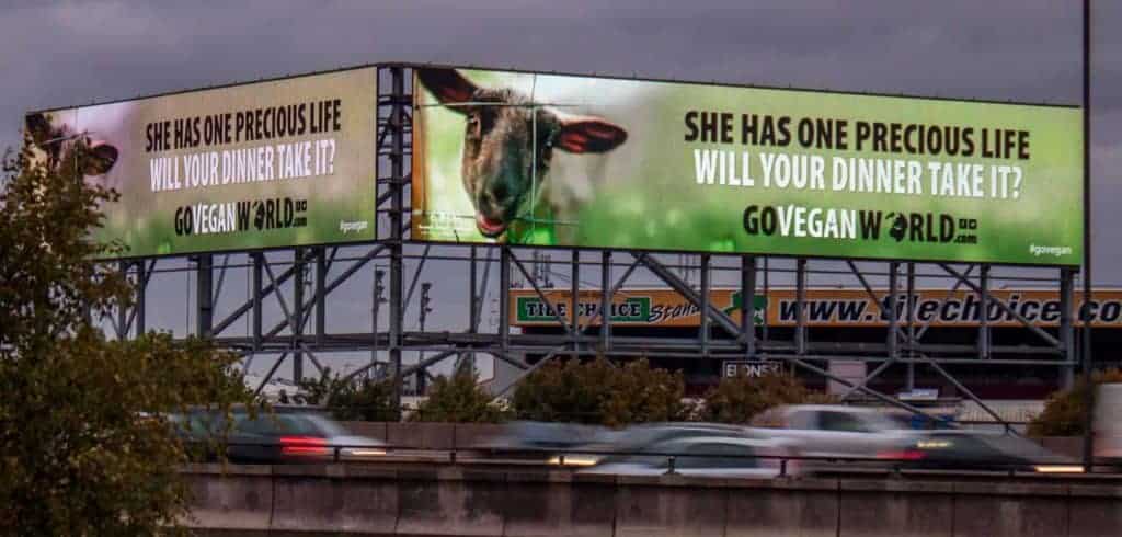 The image is of two huge roadside billboards.  Both posters are the same.  On the left is the image of an Eden Farmed Animal Sanctuary lamb.  On the center and right in large lettering are the words: She has one precious life.  Will your dinner take it? Below this is the GoVeganWorld.com logo. 