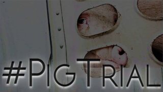 A pig looking out through the small metal holes in the side of a "livestock" truck on the way to slaughter with the text "#PigTrial" below, denoting the trial of activist Anita Krajnc.