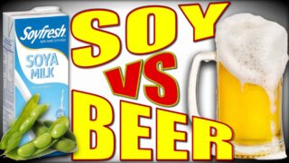 Soy Vs Beer: Which Promotes Estrogen More?