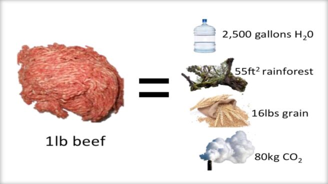 a one pound pile of raw ground beef with and equal sign, then a five gallon water jug-a rain forest image - a sack of grain - and a carbon dioxide cloudformula