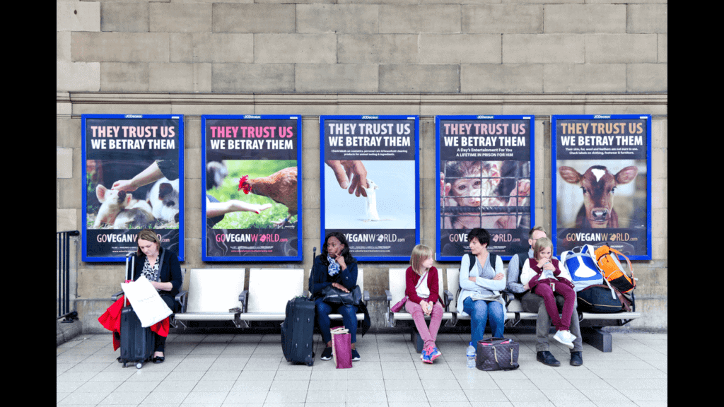 The scene is of a row of metal seats.  They appear to be on a train platform.  There are a number of people sitting on the seats.  Directly behind the seats is a wall and upon the wall five posters.
They are all part of the GoVeganWorld.com advertising campaign.  Each contains a single image and above each image are the words: They Trust us.  We betray them.  At the bottom of each poster is the GoVeganWorld.com logo.
The five posters each have a different image: A piglet being strokes between the ears.  A brown hen standing in the sunlight as a hand offers it grain.  A white mouse, standing on its hind legs reaching up to grasp the finger of a lowered human hand.  A small “entertainment” monkey behind the bars of a cage and a beautiful brown calf facing the camera.
