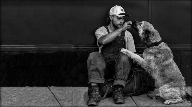 A person is shown sat, on the pavement, up against a wall with their kneed pulled in. A senior dog is next to the person, sitting up with its front paws on the person’s knee. The person is in the process of feeding the dog a small treat.