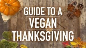 The words “Guide to Vegan Thanksgiving” overtop a Thanksgiving themed background.