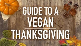 Vegan Thanksgiving Guide: Recipes, Relatives And Reality