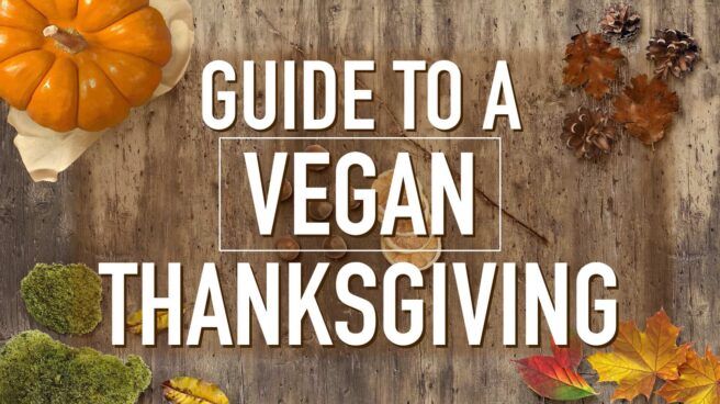 The words “Guide to Vegan Thanksgiving” overtop a Thanksgiving themed background.