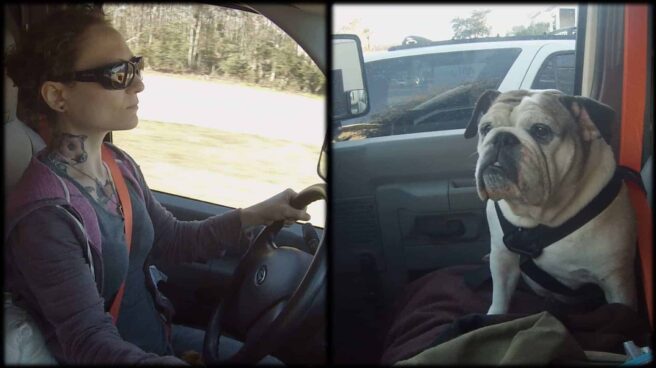 In a split image, Emily Moran Barwick of Bite Size Vegan is shown is shown on the left, he beloved bulldog, Ooby , on the right.