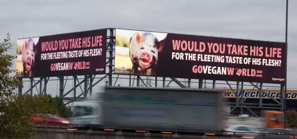 The image is of two huge roadside billboards.  Both posters are the same.  On the left is the image of an Eden Farmed Animal Sanctuary pig with a smile on its face.  On the right on large lettering are the words Would you take his life for the fleeting taste of his flesh?  Below this is the GoVeganWorld.com logo. 