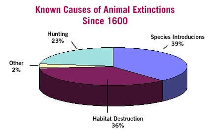 The image is of a pie chart.  The title is Known causes of animal extinctions since 1600.  It is split into four segments: Species introduction – 39% Habitat destruction – 36%, Other- 2% and Hunting 23%