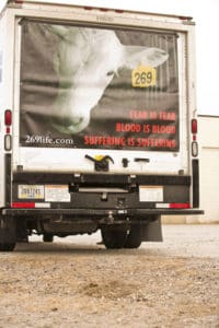 The closed truck is shown; a poster on the rear door.  A cow with the ear tag 269 -  the same number that was burned into Emily, is shown.  The words “Fear is fear.  Blood is blood.  Suffering is suffering.” is written in red along with 269life.com. 
