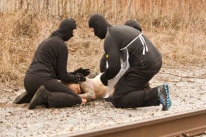 All three individuals prepare to move Emily back to the cage.