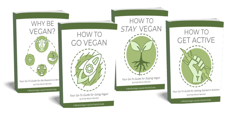 A 3D rendering of four eBooks of the BiteSizeVegan.org Get Started Guides: "Why Be Vegan?," "How to Go Vegan," "How to Stay Vegan," and "How to Get Active," all by Emily Moran Barwick.
