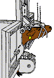 An illustration of a double rail conveyor restrainer device designed by Temple Grandin for halal and kosher ritual slaughter. A cow's head is sticking through a large metal structure. To expose his neck for cutting, his head is being lifted by chains attached to thin metal pieces wrapped under his chin.