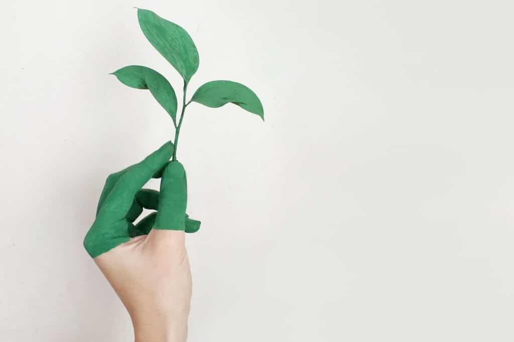 A hand painted the same color as a seedling plant springing forth from the fingertips, representative of sustainability.