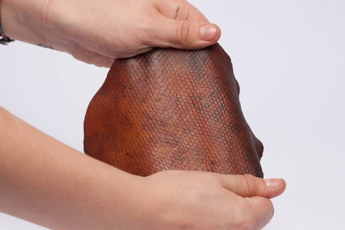 Two hands holding either side of a piece of Le Qara bioleather, a vegan leather alternative made by microorganisms.