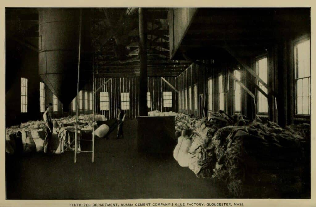 A photograph from around 1902 of the inside of the Russia Cement Company's glue factory in Gloucester, Massachusetts where glues of animal origin were produced.
