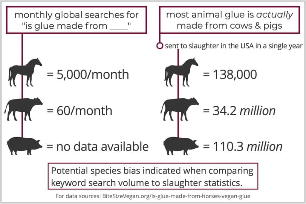 Potential species bias indicated when comparing keyword search volume (showing high interest in whether glue is made from horses, but limited to no interest in cows or pigs) to the number of horses, cows, and pigs sent to slaughter in a single year in the United States (with pigs being by far the most, followed by cows, and with horses a distant third).