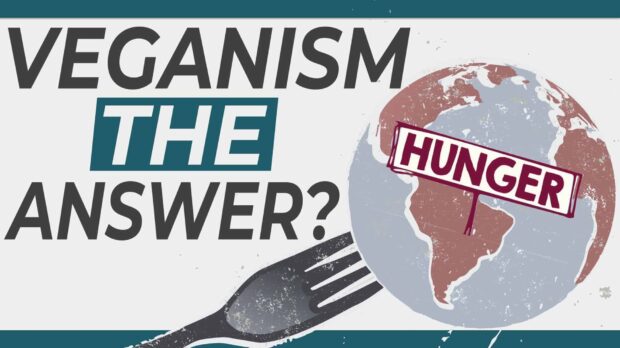 Can Veganism Solve World Hunger? An Honest Answer