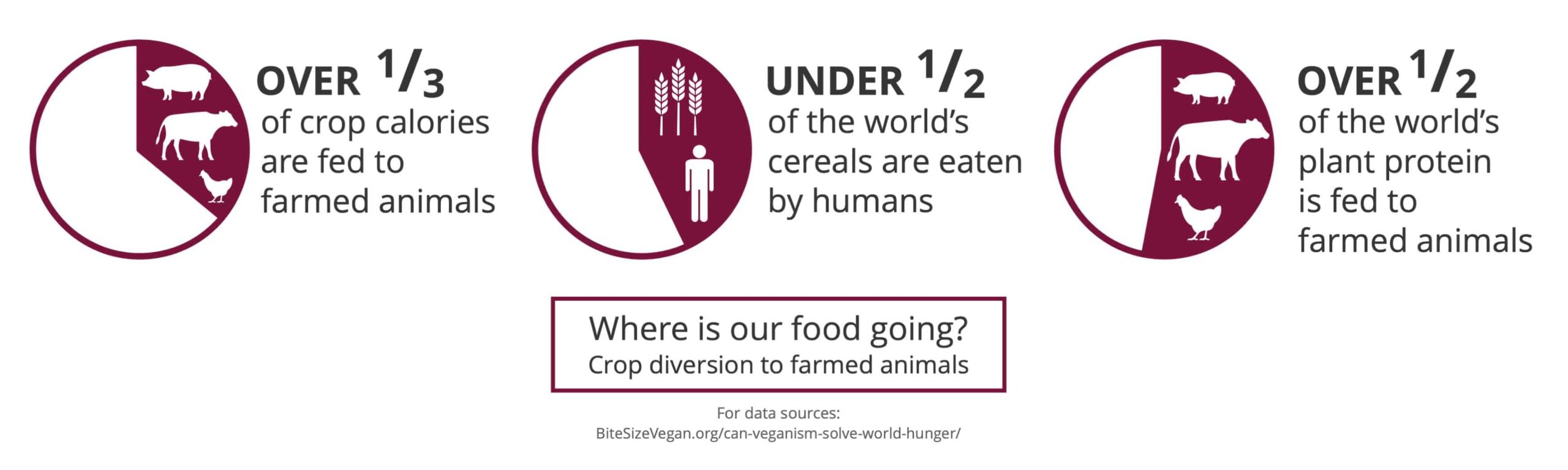 A graphic asking "Where is our good going?" and showing crop diversion to farmed animals.