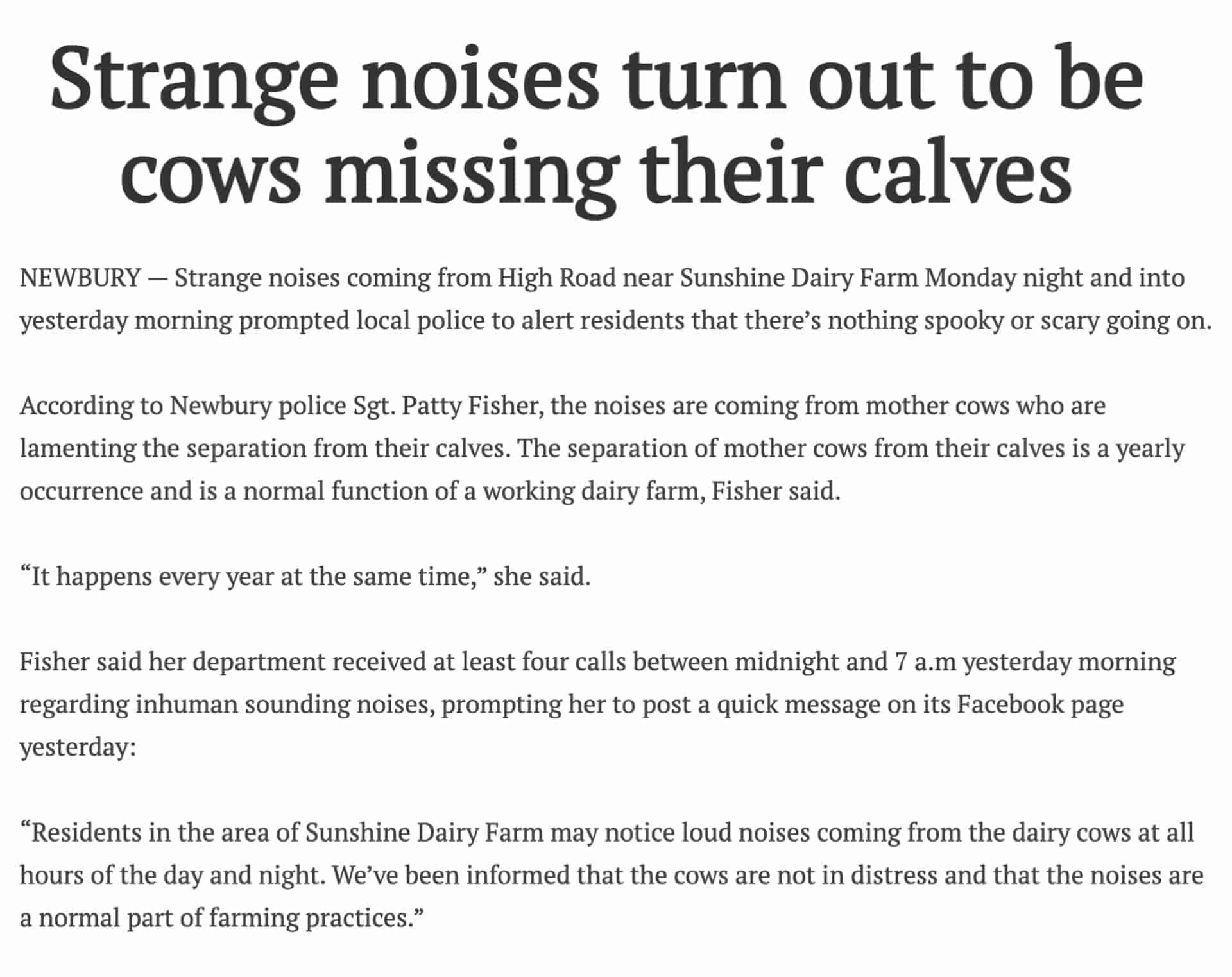 An excerpt from The Daily News article "Strange noises turn out to be cows missing their calves"