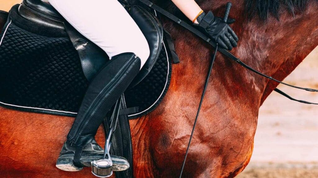 Close up to the side of a horse upon whom sits a woman in white riding pants and black riding boots, touches the horses neck with her hand that is holding riding whip.