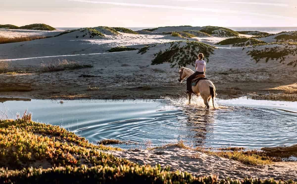 A woman riding a horse through a small body of water near the ocean and sand dunes.