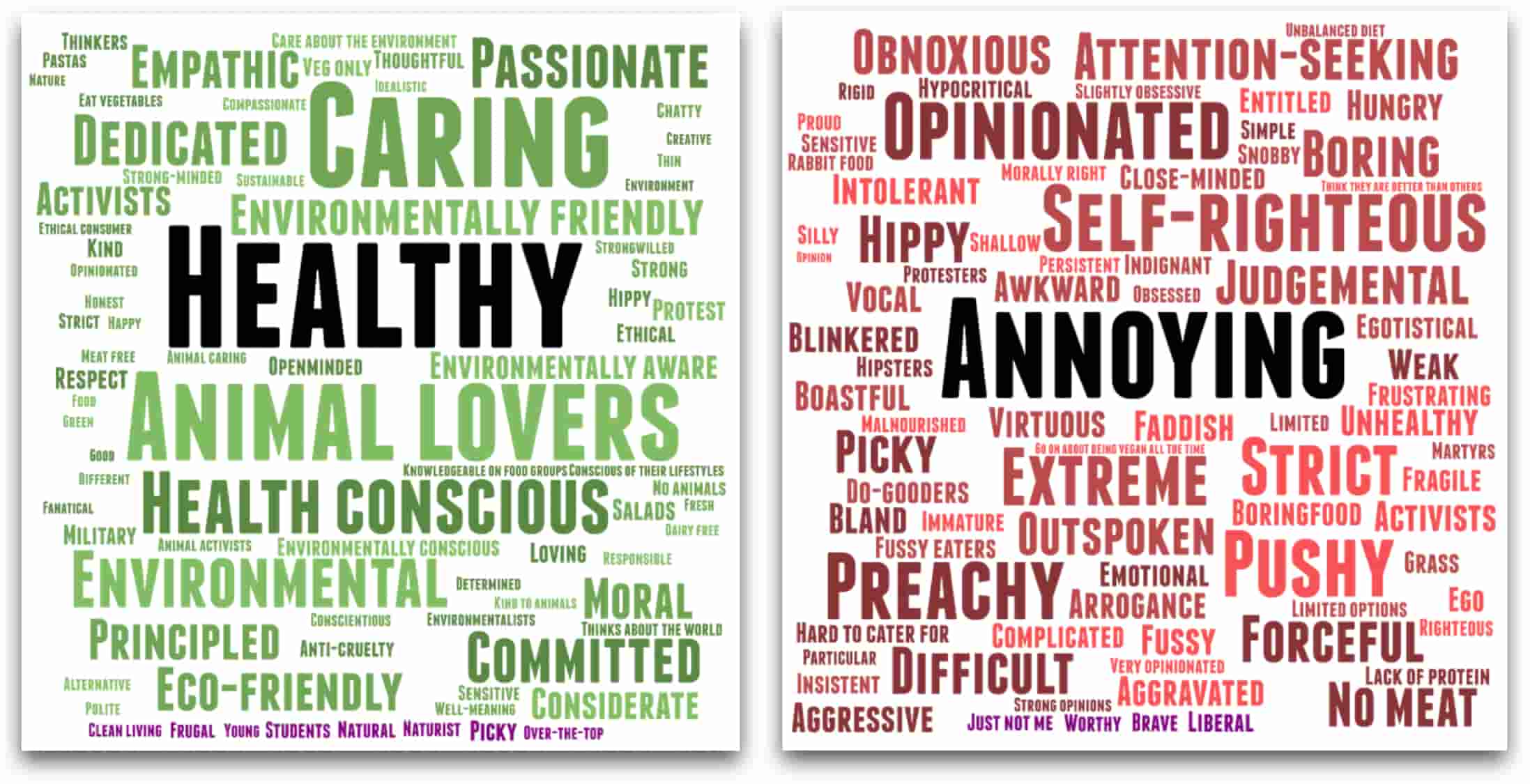 Clusters of positive and negative words omnivorous study participants associated with vegans. The largest are the most commonly given. The negative outweigh the positive, with "annoying" and "self-righteous" among the largest.